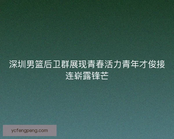 深圳男篮后卫群展现青春活力青年才俊接连崭露锋芒